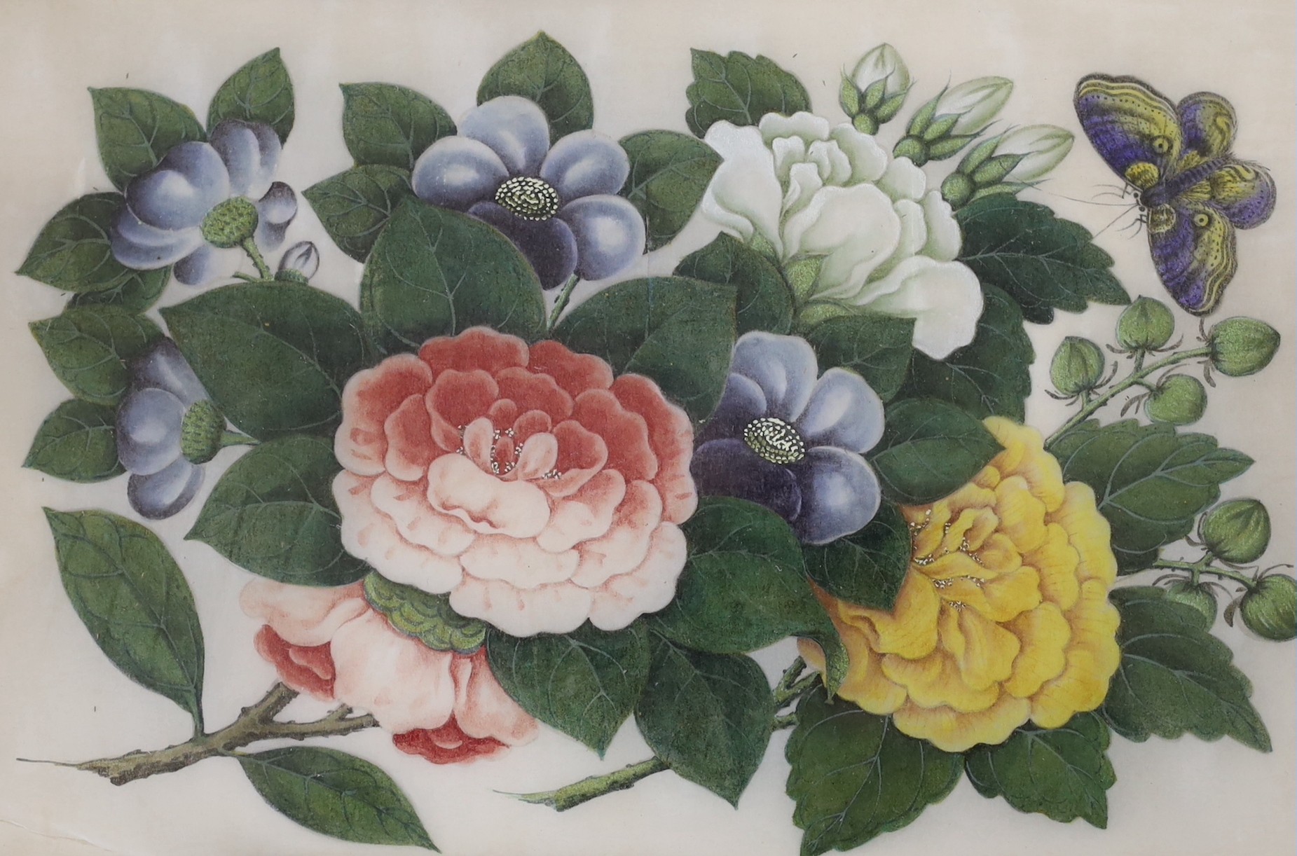 19th Century Chinese School, pair of gouaches on pith paper, studies of butterflies, 19.5 x 30